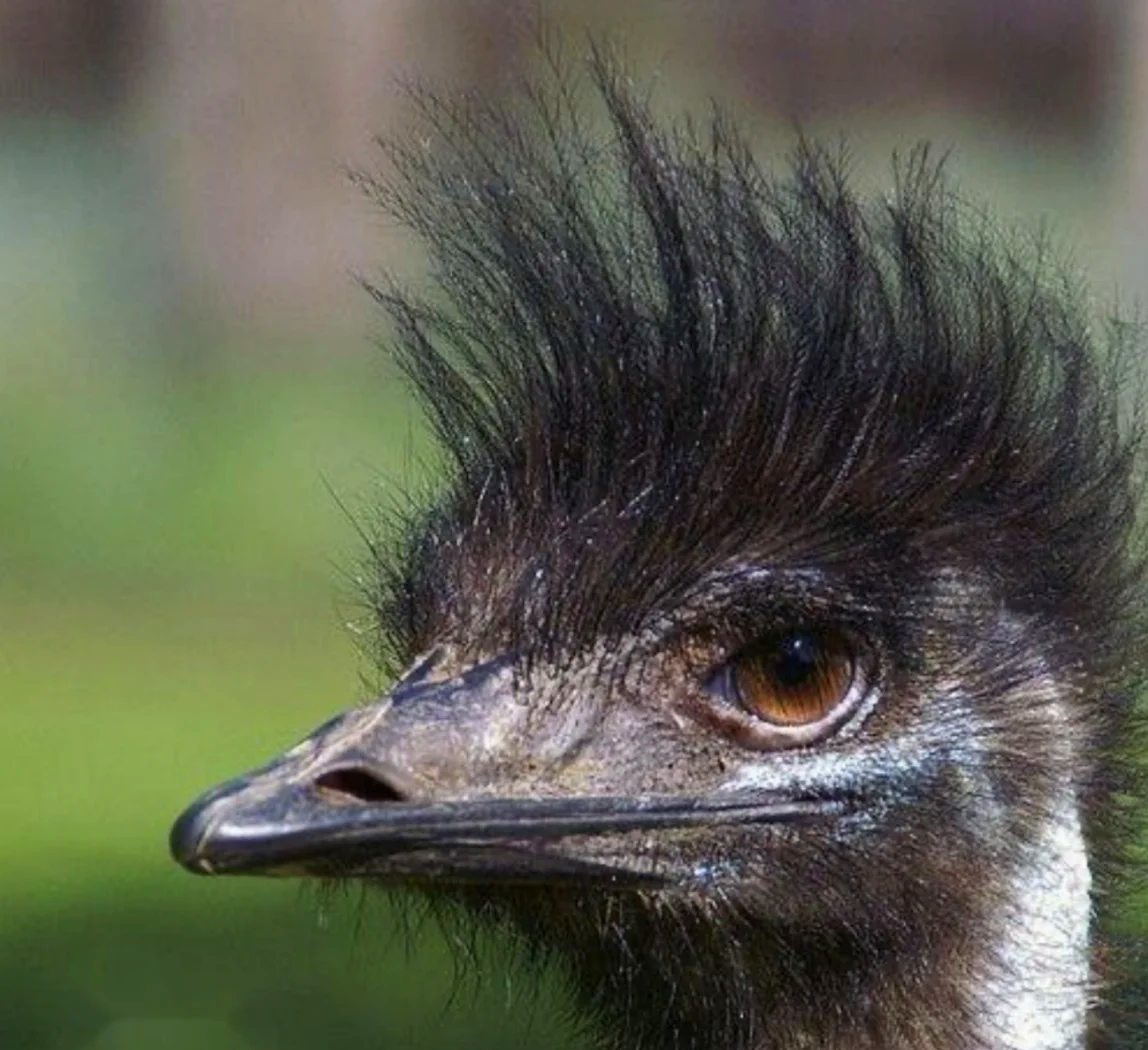 俌=? -友博体育入口