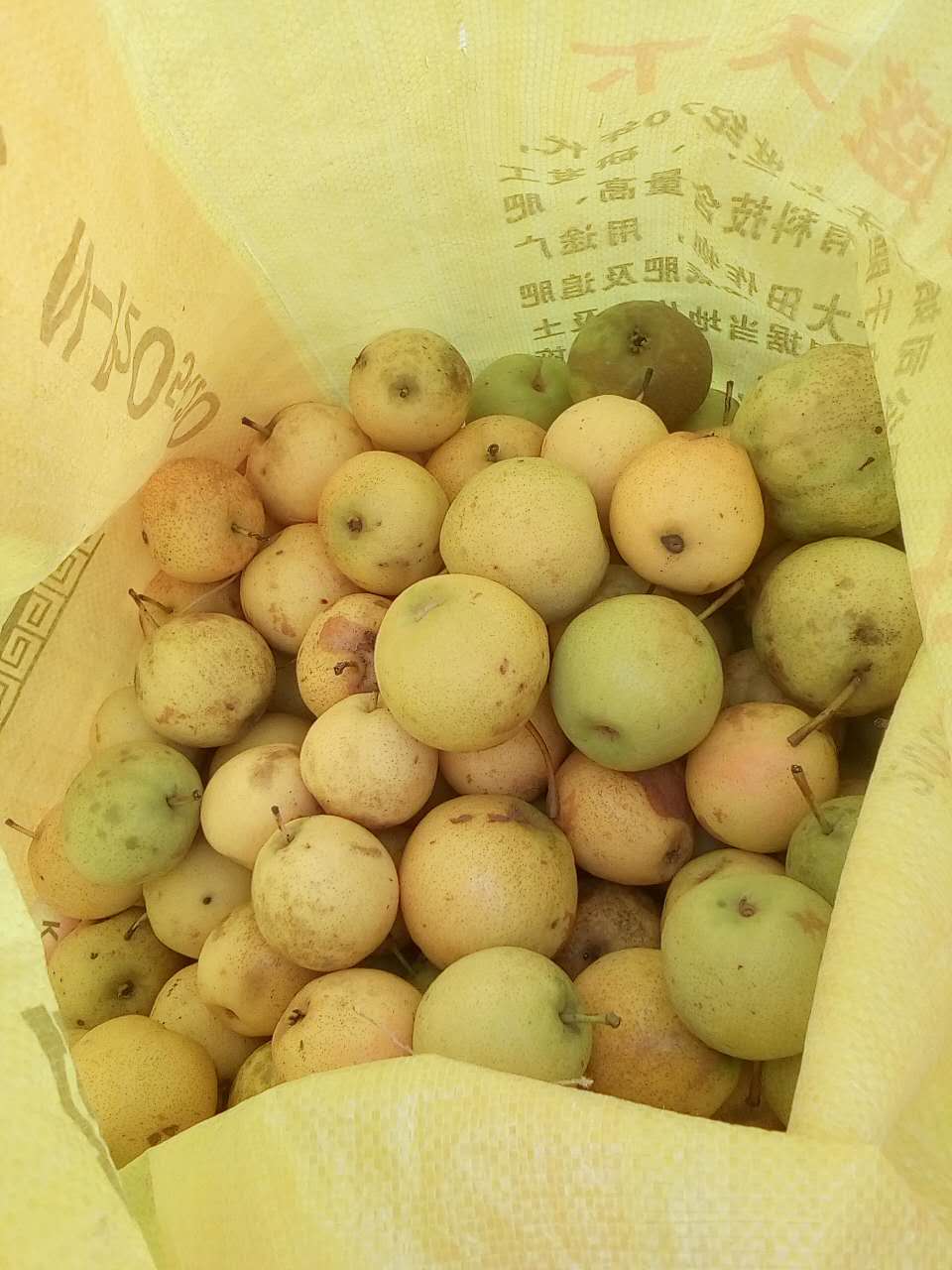 (卝卄廾丌兀卅卌艸戼)